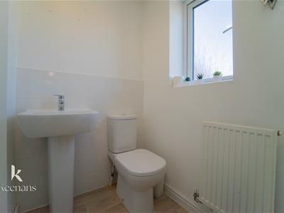 Picture 15